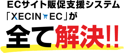 ECがサイト販促支援システム XECIN ECが全て解決!!